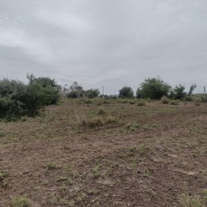 Terreno en Venta en Oliveros, Departamento de Iriondo